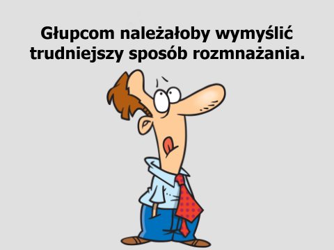 Aforyzm Tadeusza Gicgiera Głupcom należałoby wymyślić trudniejszy sposób rozmnażania.