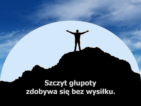 Aforyzm Kazimierza Chyły Szczyt głupoty zdobywa się bez wysiłku.