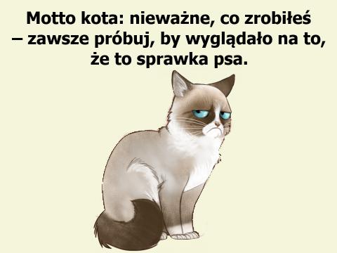 Credo kota Motto kota: nieważne, co zrobiłeś – zawsze próbuj, by wyglądało na to, że to sprawka psa.